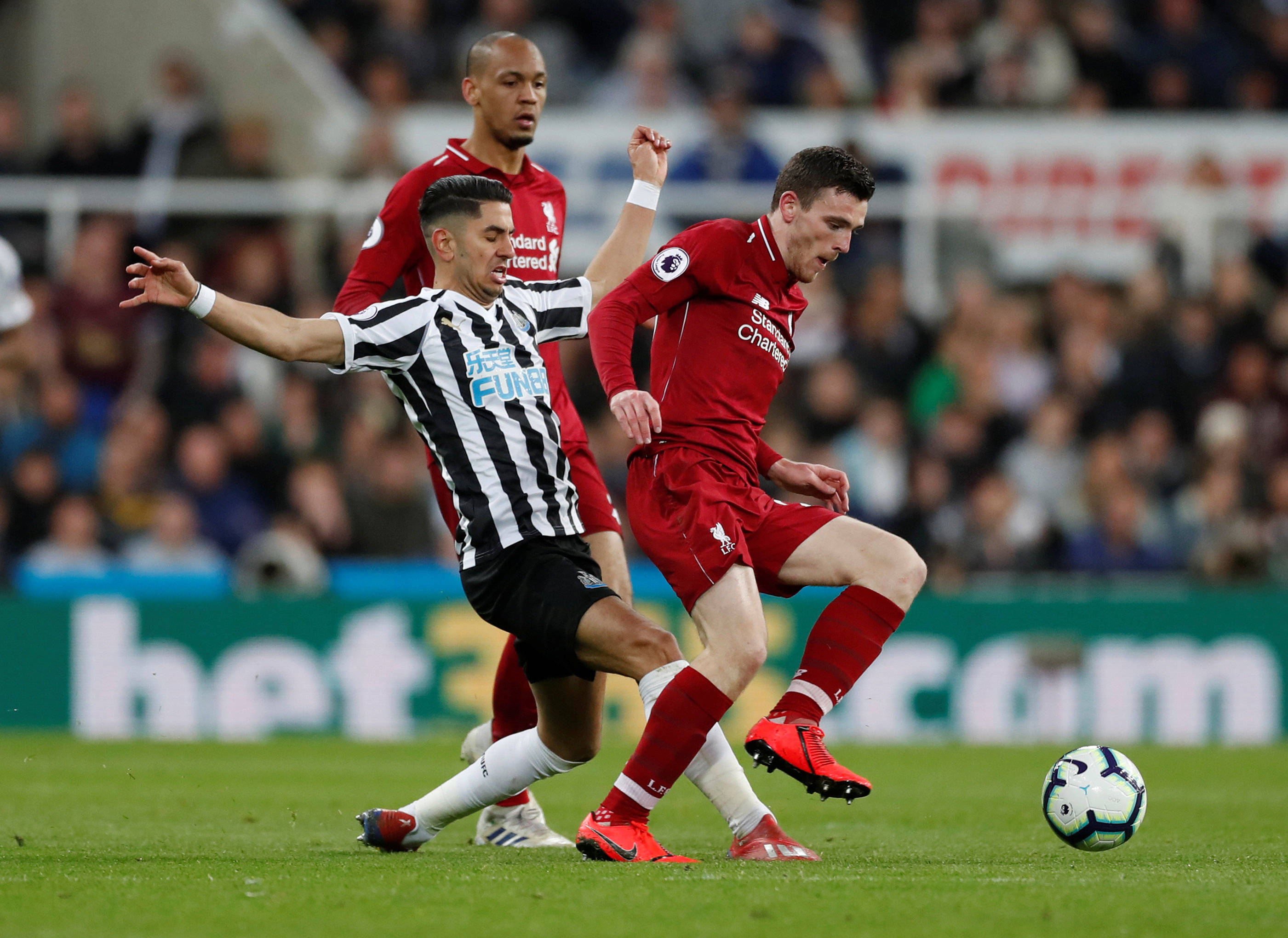 他们的健身 他们的健身