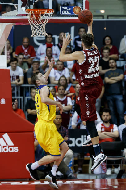 导观众行为 导观众行为